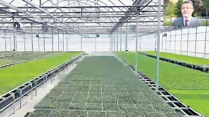 Karadeniz’de iki dev serada üretim başladı 1 karadenizde iki dev serada uretim basladi XHhPZPVj