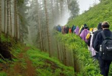 kayip santa yolu kesfedildi vaktin durdugu yer 14 kilometrelik M69BK98S