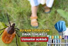 keneler bu kan kumesine bayiliyor uzmanlar uyardi gormezden gelmeyin d7CCtzGj
