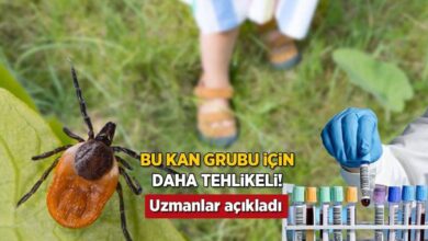 keneler bu kan kumesine bayiliyor uzmanlar uyardi gormezden gelmeyin d7CCtzGj
