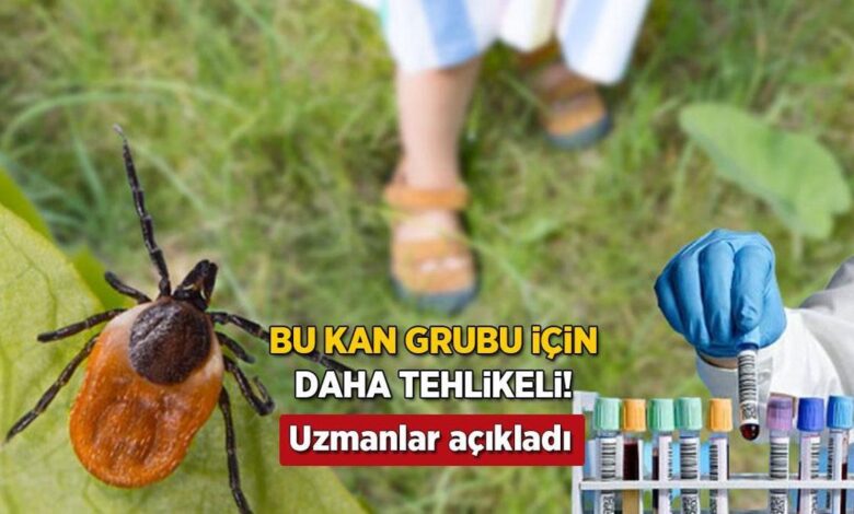 Keneler bu kan kümesine bayılıyor! Uzmanlar uyardı: 'Görmezden gelmeyin' 1 keneler bu kan kumesine bayiliyor uzmanlar uyardi gormezden gelmeyin d7CCtzGj