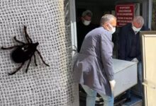 kentte kabus devam ediyor bir kisi daha oldu mPgIs41e