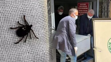 kentte kabus devam ediyor bir kisi daha oldu mPgIs41e