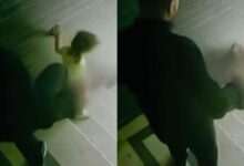 kizina tekme atarak merdivenlerden yuvarlayan cani baba adliyede zqOBKfhT