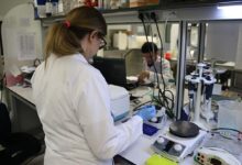 kkka asisinin klinik oncesi calismalari eylule kadar tamamlanacak xUZuZCmU
