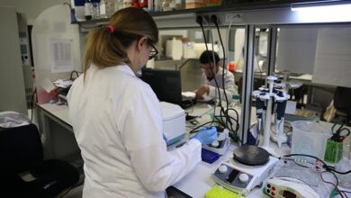 kkka asisinin klinik oncesi calismalari eylule kadar tamamlanacak xUZuZCmU