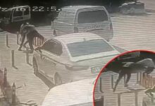 konyada akilalmaz olay evvel tokalasti sonra bacaklarindan vurdu uwRqnORt