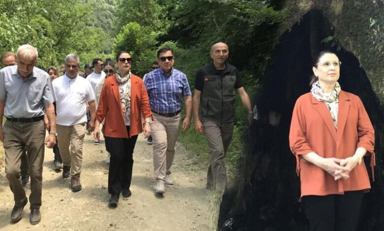 Köylüler tesadüfen buldu, bir ili heyecan sardı! 'Sürecimiz devam ediyor' 1 koyluler tesadufen buldu bir ili heyecan sardi surecimiz devam ediyor QTW4h4ux