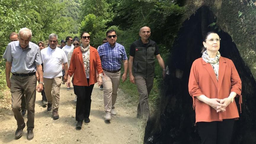 Köylüler tesadüfen buldu, bir ili heyecan sardı! ‘Sürecimiz devam ediyor’