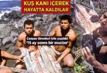 kus kani icerek hayatta kaldilar cenaze merasimleri bile yapildi 15 ay sonra bir mucize wsPC378H