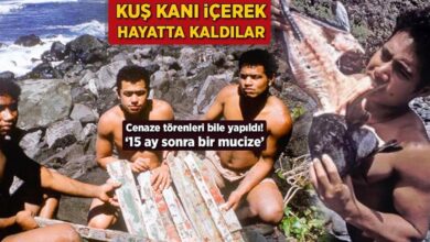 kus kani icerek hayatta kaldilar cenaze merasimleri bile yapildi 15 ay sonra bir mucize wsPC378H