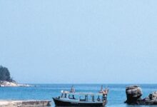 levanten romano ailesini taniyalim kOVbvyg1