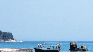 levanten romano ailesini taniyalim kOVbvyg1