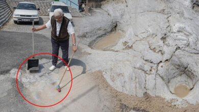 mahalledeki 452 yillik gizemli iz 11 yasinda geldim 65 yildir her gun tipki yeri B2U4f7zE