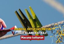 mandalin ise yaramadigi yer yok konutta her seyi organize ediyor her karmasaya tahlil AlbMUzQV