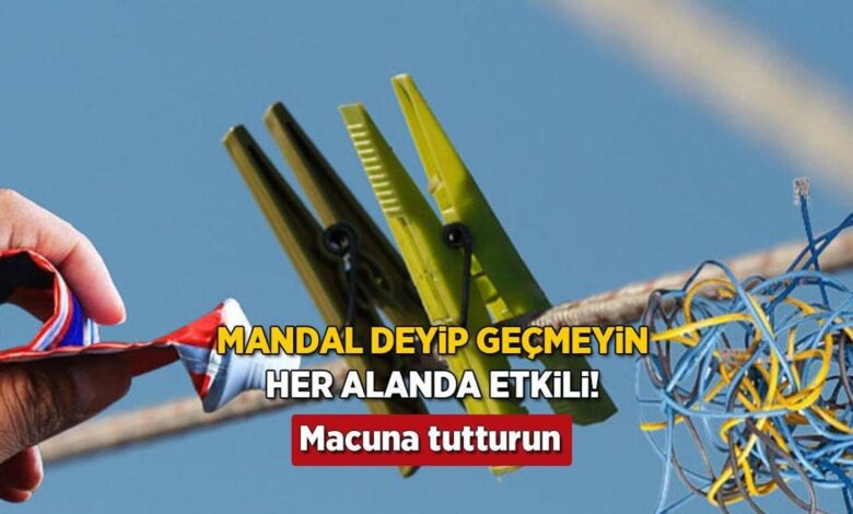 Mandalın işe yaramadığı yer yok! Konutta her şeyi organize ediyor, her karmaşaya tahlil 1 mandalin ise yaramadigi yer yok konutta her seyi organize ediyor her karmasaya tahlil AlbMUzQV