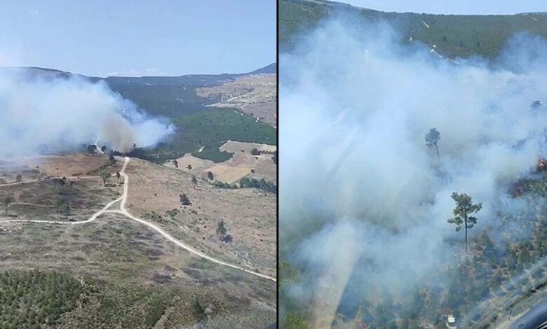 Manisa'da orman yangını! Havadan ve karadan müdahale ediyor 1 manisada orman yangini havadan ve karadan mudahale ediyor n1eZhdYA