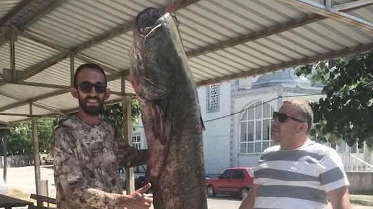 Meriç Irmağı'nda 80 kilogramlık yayın balığı yakalandı Meriç Irmağı'nda yakalanan dev! Kem 1 meric irmaginda 80 kilogramlik yayin baligi yakalandi meric irmaginda yakalanan dev kem QrjraLzr