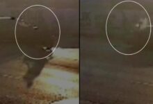 motosiklet arabaya ok uzere saplandi meyyit ve yaralilar var sYbGPSMj