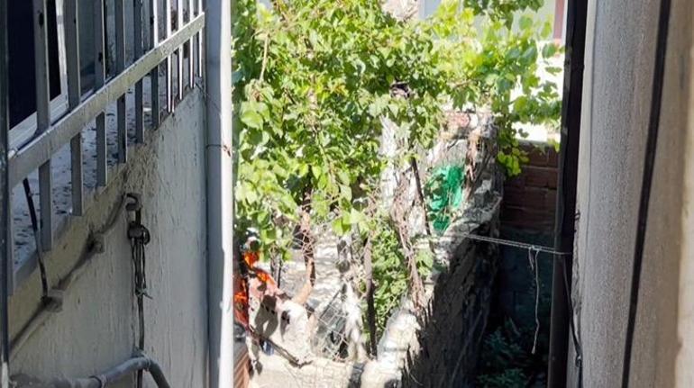 Müthiş olay! Gecekondunun bahçesinde halıya sarılı ceset bulundu: Polisi arayarak itiraf ettiler 4 muthis olay gecekondunun bahcesinde haliya sarili ceset bulundu polisi arayarak itiraf ettiler 2 6vQhbf64