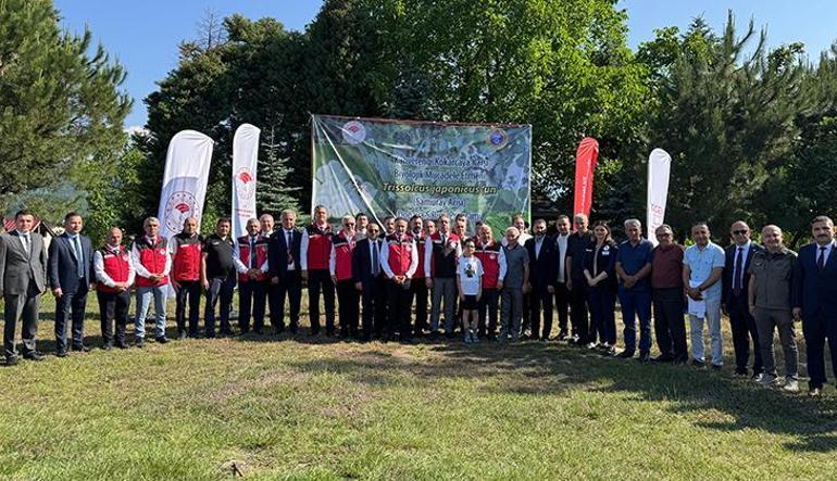 Ordu'da tabiata 245 bin 'samuray arısı' salınacak 2 orduda tabiata 245 bin samuray arisi salinacak 0 pBlCGiHj
