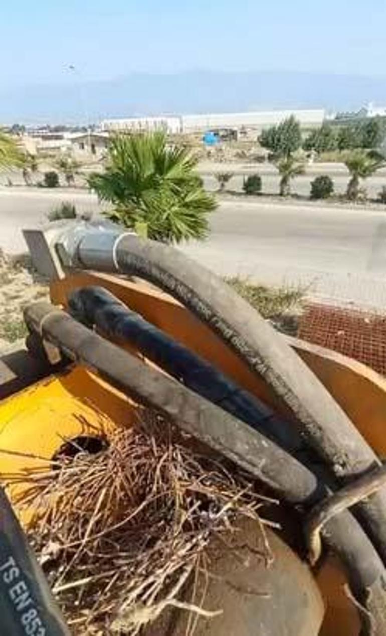 Parayı değil 'merhameti' seçti: Sonuna kadar bekledik ve güzeli oldu 2 parayi degil merhameti secti sonuna kadar bekledik ve guzeli oldu 0 e52LNja2