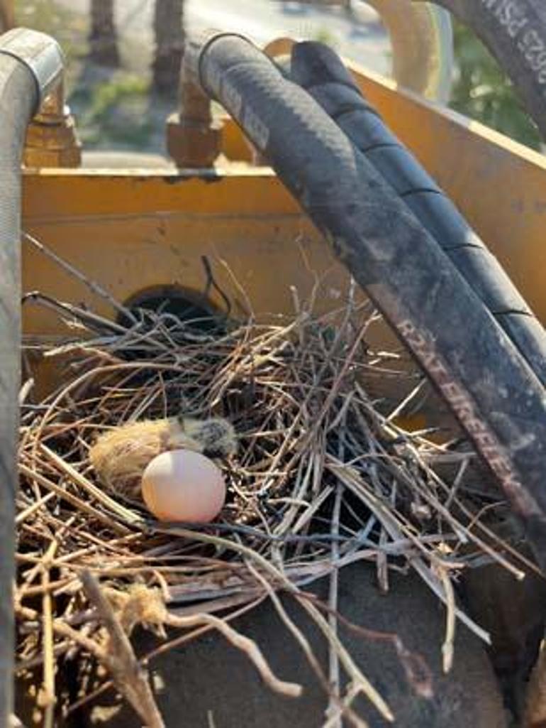 Parayı değil 'merhameti' seçti: Sonuna kadar bekledik ve güzeli oldu 4 parayi degil merhameti secti sonuna kadar bekledik ve guzeli oldu 2