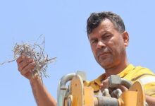 parayi degil merhameti secti sonuna kadar bekledik ve guzeli oldu LUmRRTTJ