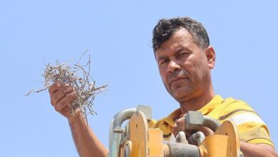 parayi degil merhameti secti sonuna kadar bekledik ve guzeli oldu LUmRRTTJ