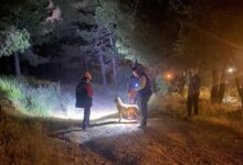 pendikte ormana girdi ve akabinde kayboldu takimlar harekete gecti Jgb6jtcP