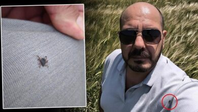 selfie cekerken fark etti bu yil her zamankinden fazla gorunuyor ajzkjWdf