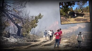 semaver yakarken ormani da yakti cezasi asik r oldu 6v8zdNBN