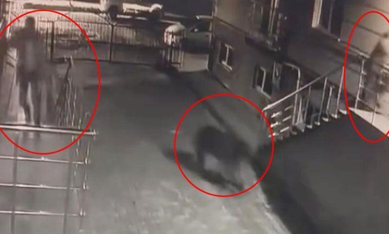 Sitenin bahçesinde büyük panik: 'Ayı geliyor' dedi ve kaçmaya başladık 1 sitenin bahcesinde buyuk panik ayi geliyor dedi ve kacmaya basladik 6tmM9Jyd