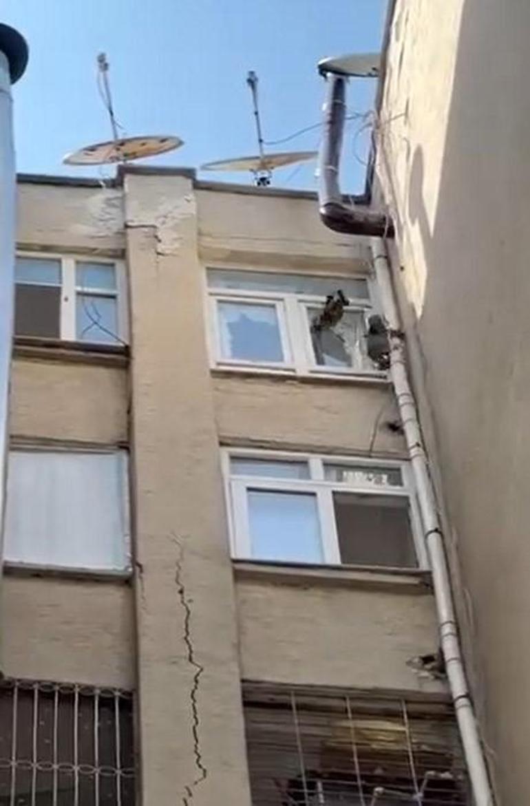 Siteye giren maymun 'Hayri' için kafesli operasyon! Konutlara iniyor, ne bulursa yiyor 2 siteye giren maymun hayri icin kafesli operasyon konutlara iniyor ne bulursa yiyor 0 cR2vL6gY