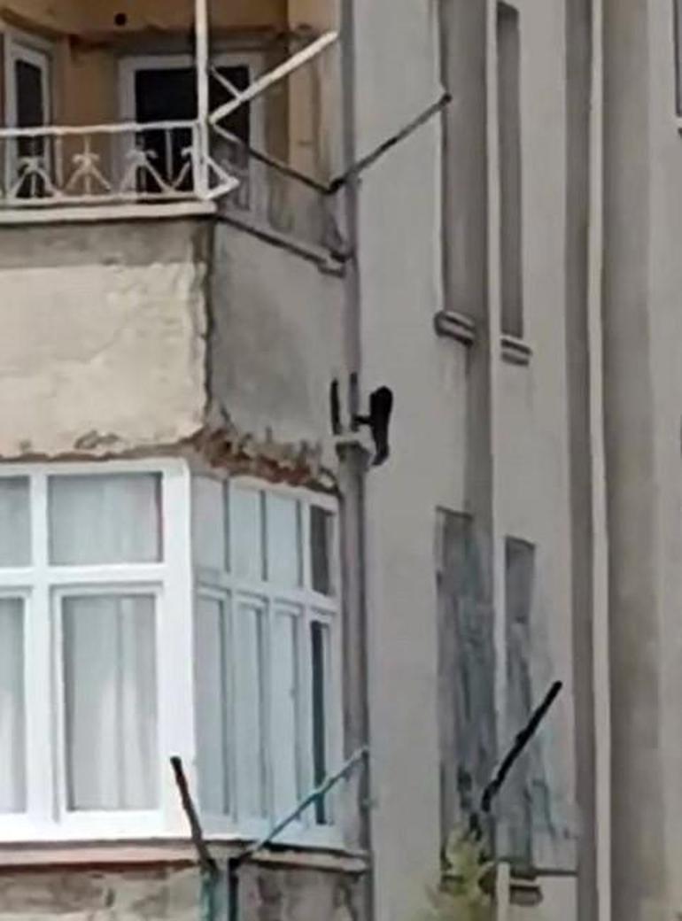 Siteye giren maymun 'Hayri' için kafesli operasyon! Konutlara iniyor, ne bulursa yiyor 3 siteye giren maymun hayri icin kafesli operasyon konutlara iniyor ne bulursa yiyor 1 EN9PFEdv