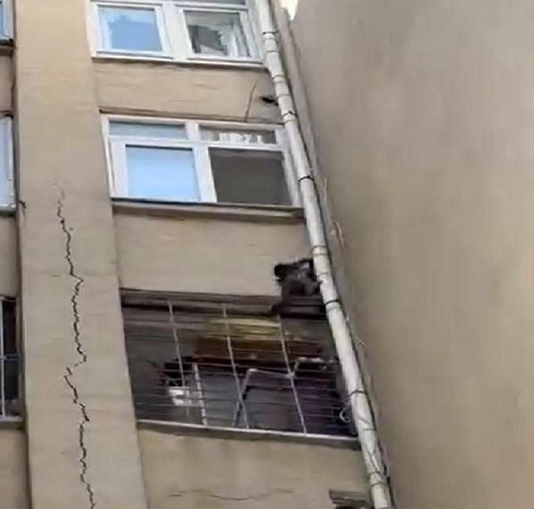 Siteye giren maymun 'Hayri' için kafesli operasyon! Konutlara iniyor, ne bulursa yiyor 4 siteye giren maymun hayri icin kafesli operasyon konutlara iniyor ne bulursa yiyor 2 UvjDEl5K