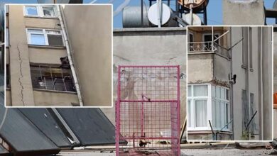siteye giren maymun hayri icin kafesli operasyon konutlara iniyor ne bulursa yiyor dCPcMpBp
