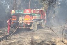 son dakika antalyada iki farkli ilcede orman yangini mldXDdZw
