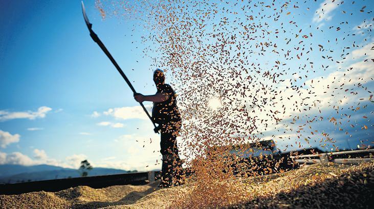 Tarlada 35 çeşit ulusal tohum tarıma kazandırıldı 1 tarlada 35 cesit ulusal tohum tarima kazandirildi AjTkCrDC