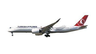 thy air europa paylarina teklif vermeyi dusunuyor Lzq6dhTV