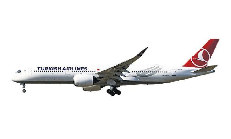 THY Air Europa paylarına teklif vermeyi düşünüyor 1 thy air europa paylarina teklif vermeyi dusunuyor Lzq6dhTV