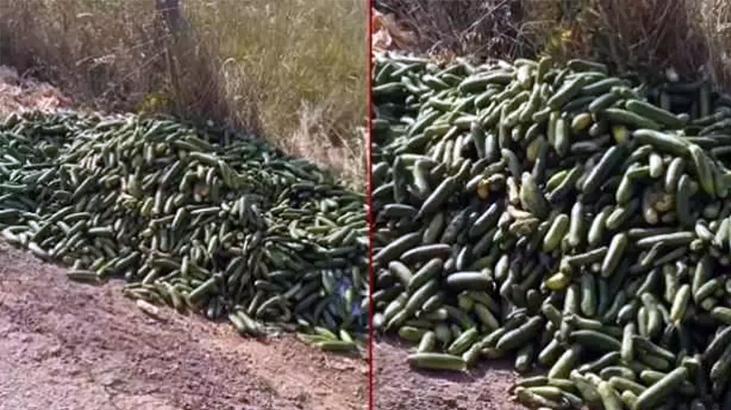 Ticaret Bakanlığından açıklama! Kocaeli'de boş toprağa dökülen salatalıklar için ceza 1 ticaret bakanligindan aciklama kocaelide bos topraga dokulen salataliklar icin ceza wXl4ytY1