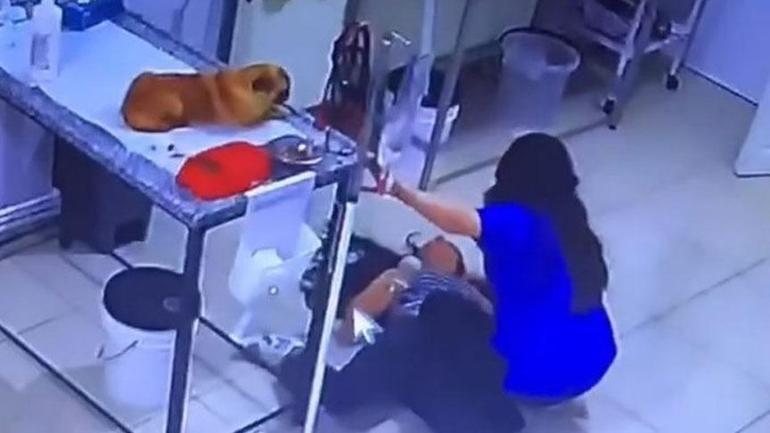 Veteriner kliniğinde şok anlar! Köpeğini tedavi ettiren bayan yere yığıldı 2 veteriner kliniginde sok anlar kopegini tedavi ettiren bayan yere yigildi 0 kYXrjsbF