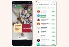 whatsappa reklamlar geliyor sohbet uzere reklam MRRxuIwF