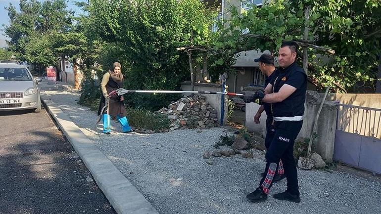 Yılanlar her yeri sardı! Birçok kentte alarm 2 yilanlar her yeri sardi bircok kentte alarm 0 tTkw6een