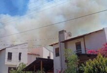 3 vilayette orman yangini yine basladi alevler yerlesim yerlerine ilerliyor TU2IdWTe