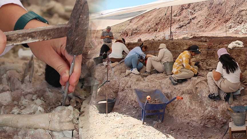 9 milyon yıllık sırlar yine gün yüzüne çıkıyor! ‘Bir kesimi burada, oburu orada’