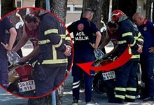 akilalmaz olay kendimi yakacagim diyerek geldi takimlari gorunce yaptigi sey pes dedirtti 9CDktrWb