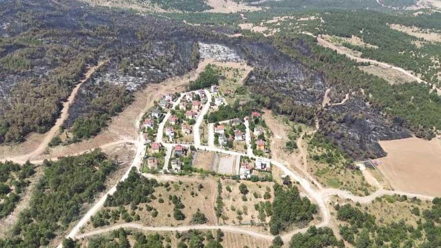 Alevler villaları yutacaktı! Yangının boyutu dehşete düşürdü