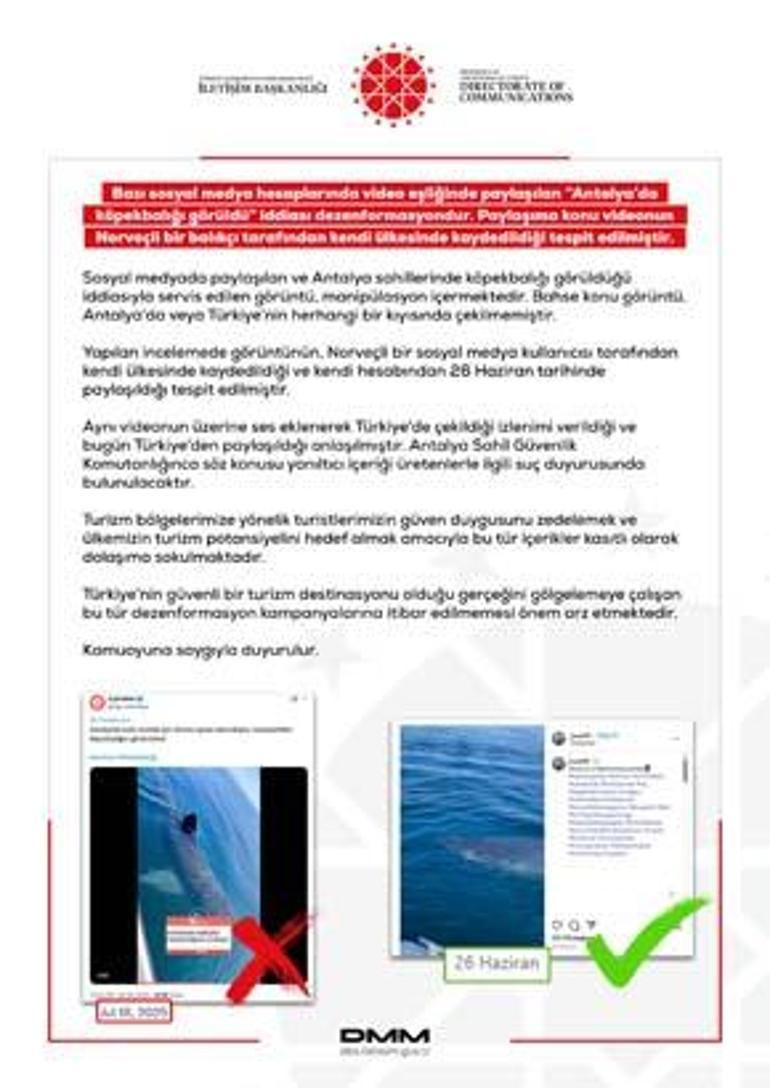 antalyada 3 metre uzunlugunda kopek baligi goruntusune curum duyurusu 5 X5lSwmDr